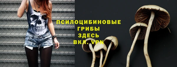 эйфоретик Богородицк
