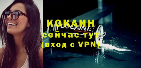 дживик Богданович