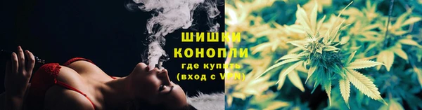 дживик Богданович