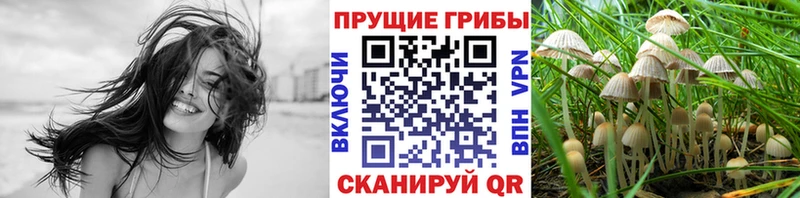 наркошоп  Кохма  нарко площадка телеграм  Псилоцибиновые грибы MAGIC MUSHROOMS 