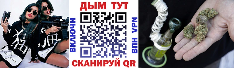 где найти   Кохма  Бошки марихуана гибрид 